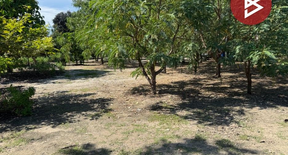 For sale land in Bang Pakong, Chachoengsao