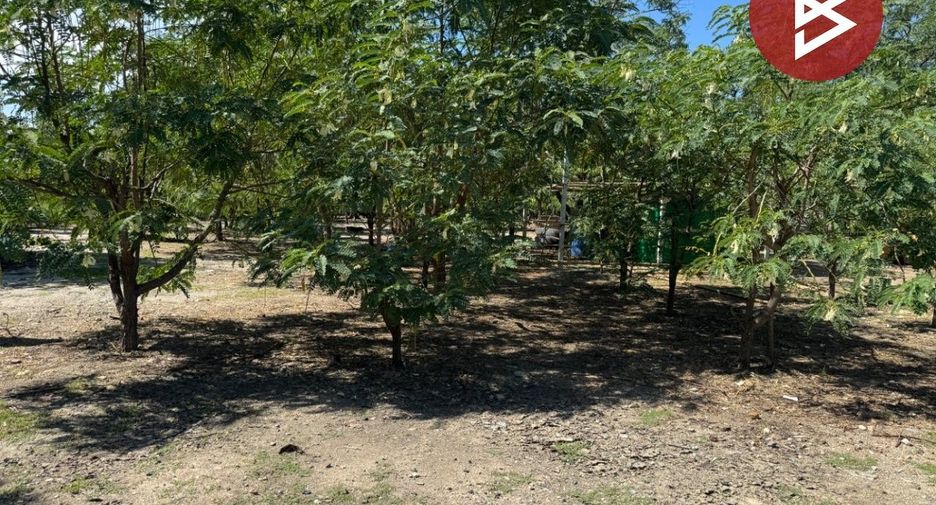 For sale land in Bang Pakong, Chachoengsao