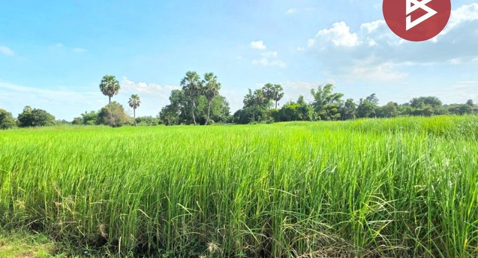 For sale land in Yang Talat, Kalasin