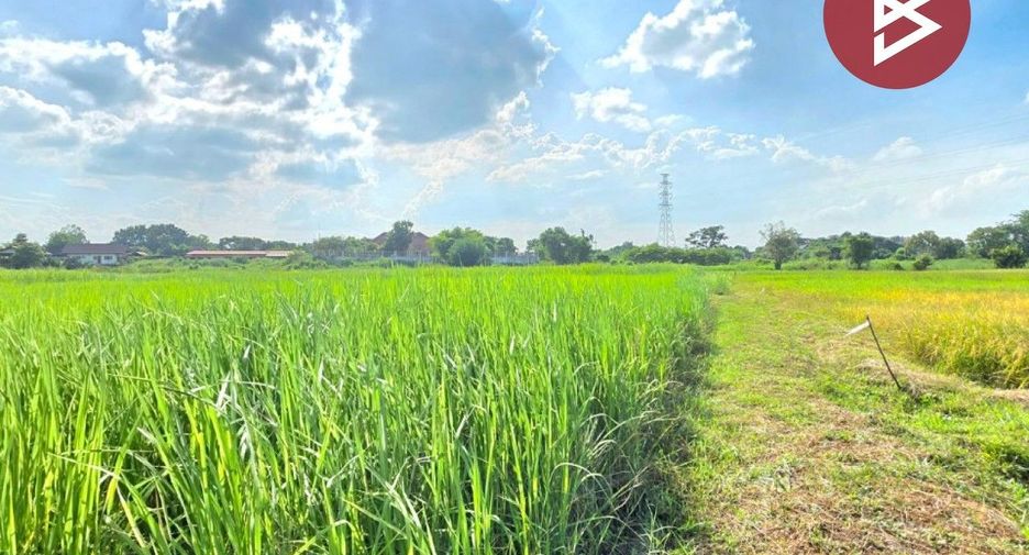 For sale land in Yang Talat, Kalasin