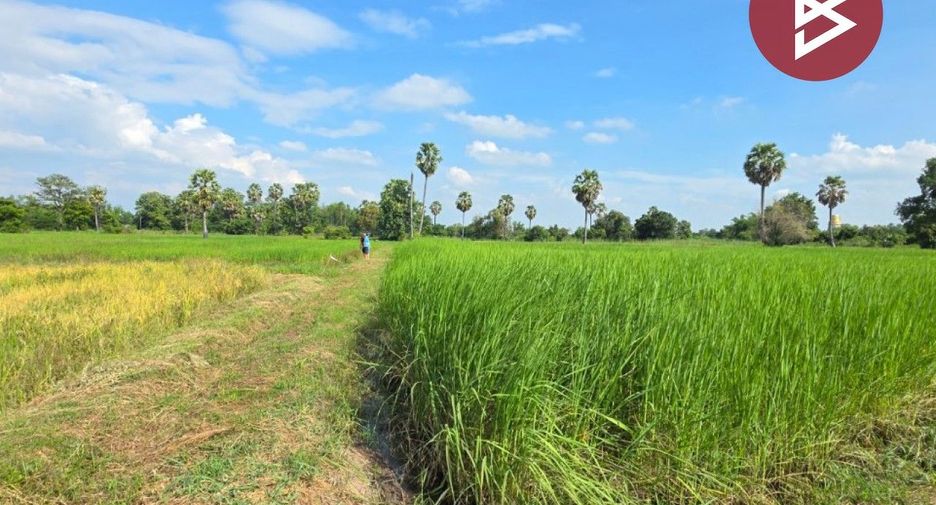 For sale land in Yang Talat, Kalasin