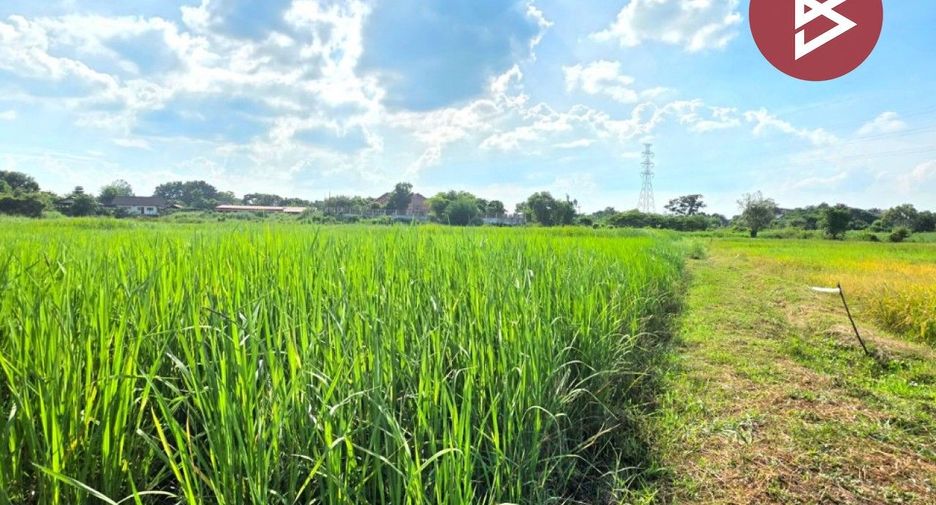 For sale land in Yang Talat, Kalasin