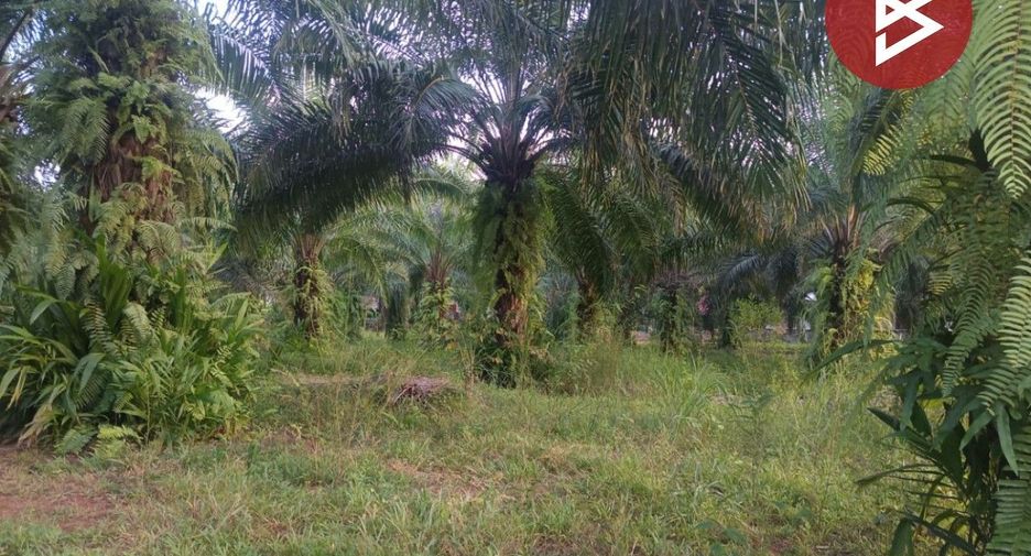 For sale land in Seka, Bueng Kan