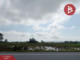 For sale land in Chiang Kham, Phayao