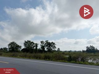 For sale land in Chiang Kham, Phayao
