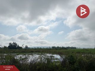 For sale land in Chiang Kham, Phayao