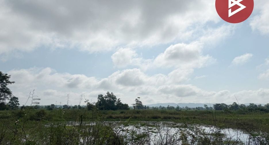 For sale land in Chiang Kham, Phayao