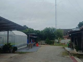 出售 4 卧室 独立屋 在 Li, Lamphun