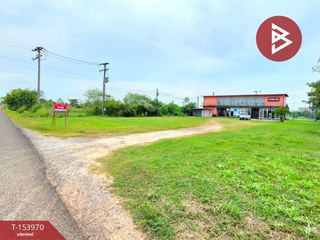 For sale land in Selaphum, Roi Et