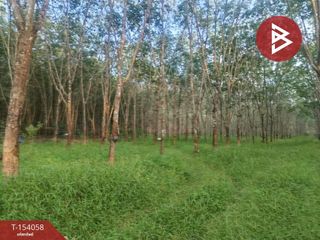 For sale land in Seka, Bueng Kan