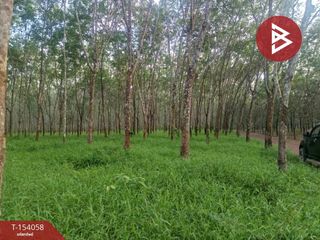 For sale land in Seka, Bueng Kan
