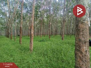 For sale land in Seka, Bueng Kan