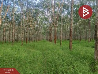 For sale land in Seka, Bueng Kan