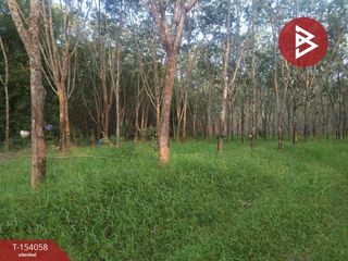 For sale land in Seka, Bueng Kan