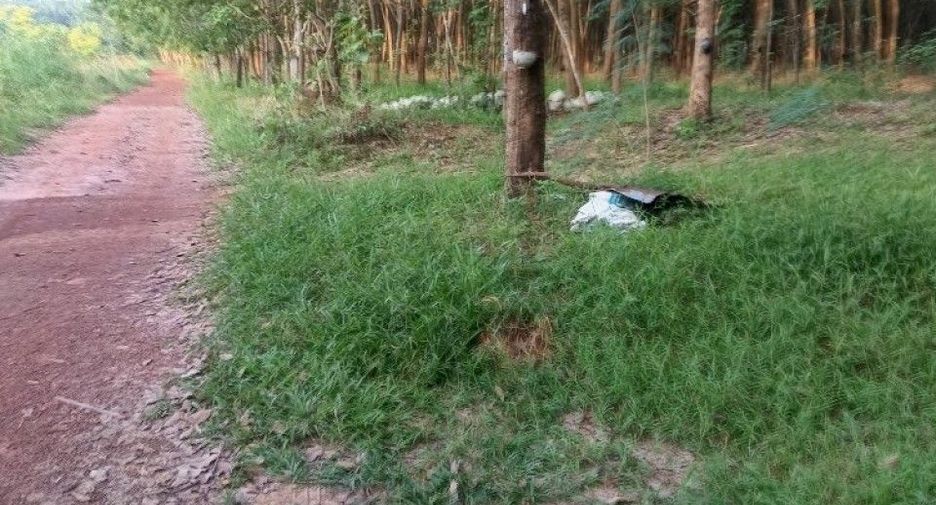 For sale land in Seka, Bueng Kan