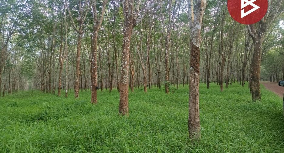 For sale land in Seka, Bueng Kan