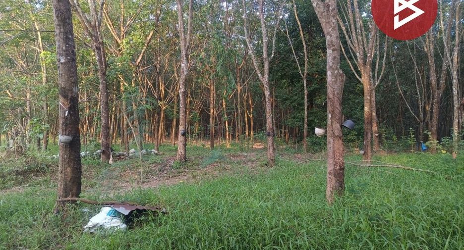 For sale land in Seka, Bueng Kan