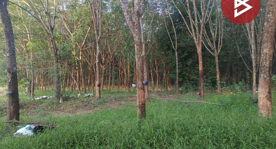 For sale land in Seka, Bueng Kan