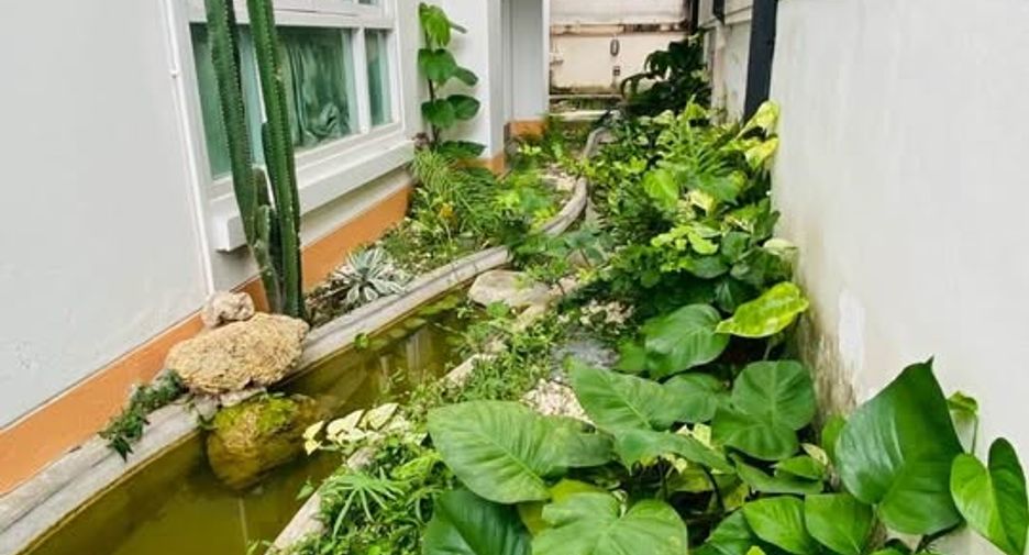 Haus zum Kauf mit 3 Zimmer in Saraphi, Chiang Mai