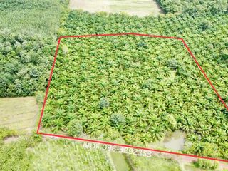 For sale land in Phon Phisai, Nong Khai
