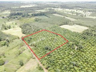 For sale land in Phon Phisai, Nong Khai