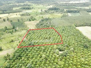 For sale land in Phon Phisai, Nong Khai