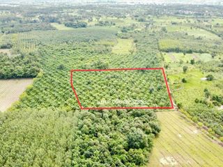 For sale land in Phon Phisai, Nong Khai