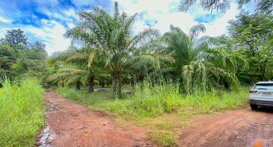 À vendre terrain à Phon Phisai, Nong Khai