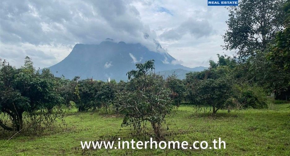 For sale land in Chiang Dao, Chiang Mai