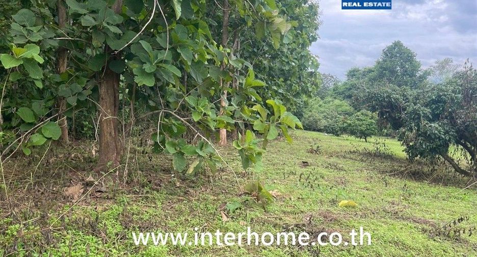 For sale land in Chiang Dao, Chiang Mai
