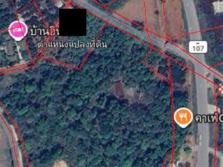 For sale land in Chiang Dao, Chiang Mai