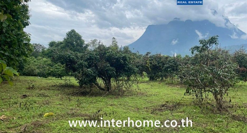 For sale land in Chiang Dao, Chiang Mai