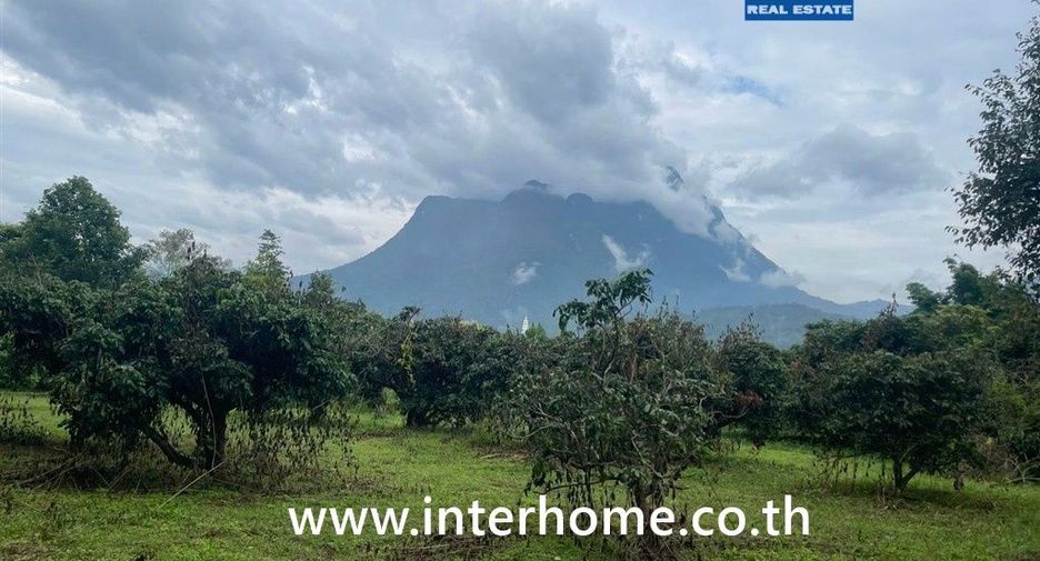 For sale land in Chiang Dao, Chiang Mai