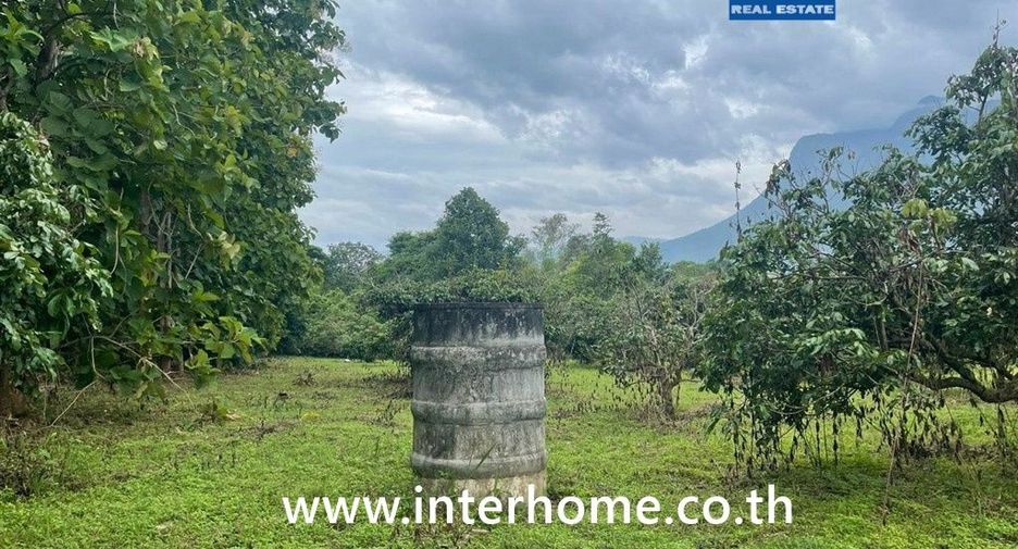 For sale land in Chiang Dao, Chiang Mai