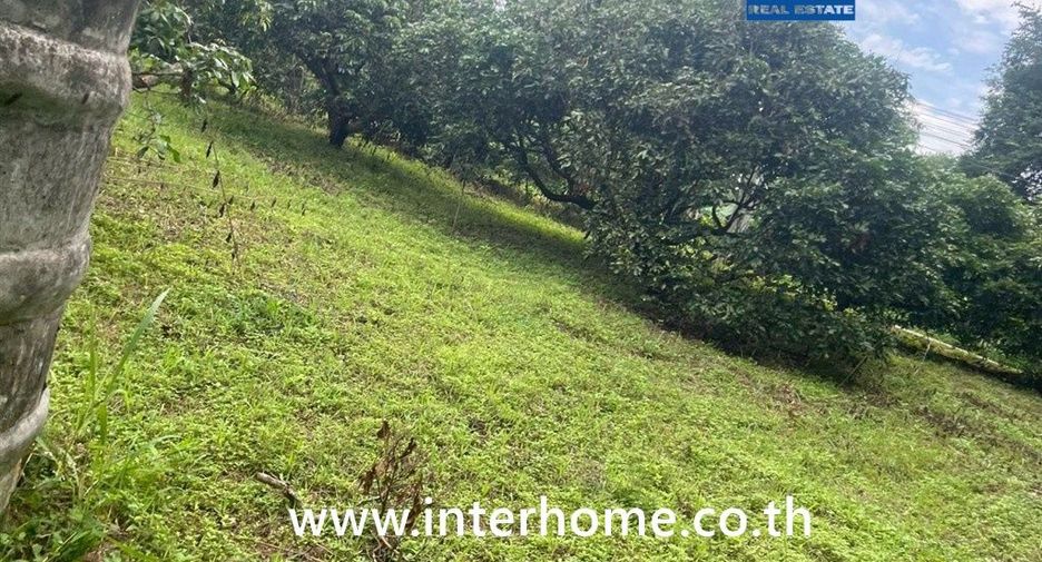 For sale land in Chiang Dao, Chiang Mai