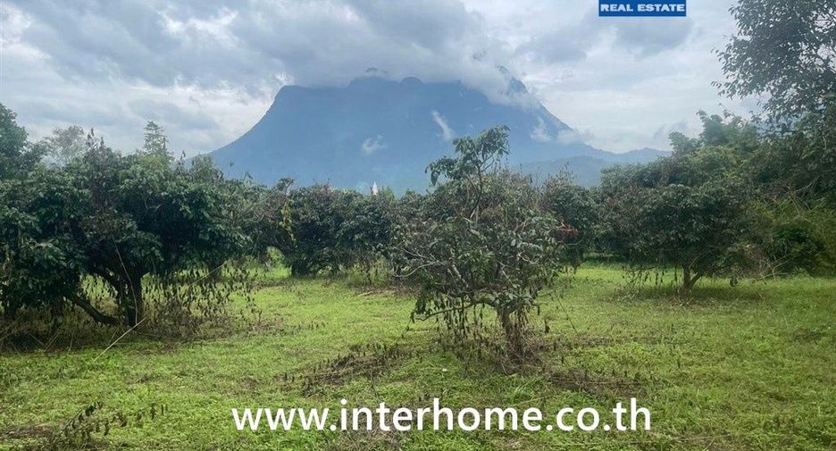 For sale land in Chiang Dao, Chiang Mai