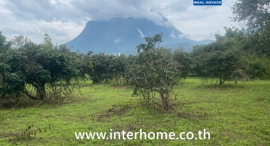 For sale land in Chiang Dao, Chiang Mai