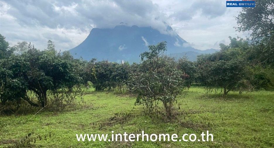 For sale land in Chiang Dao, Chiang Mai