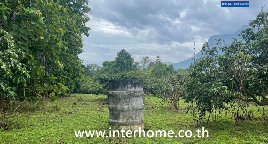 For sale land in Chiang Dao, Chiang Mai