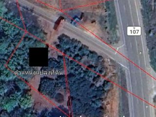 For sale land in Chiang Dao, Chiang Mai