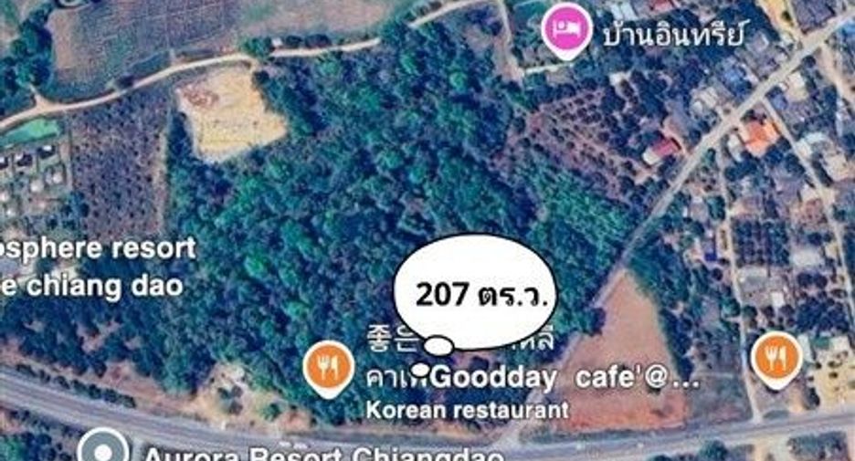 For sale land in Chiang Dao, Chiang Mai