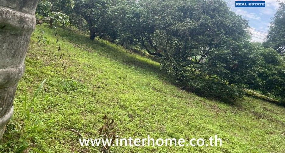 For sale land in Chiang Dao, Chiang Mai