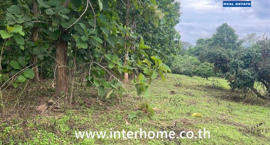 For sale land in Chiang Dao, Chiang Mai