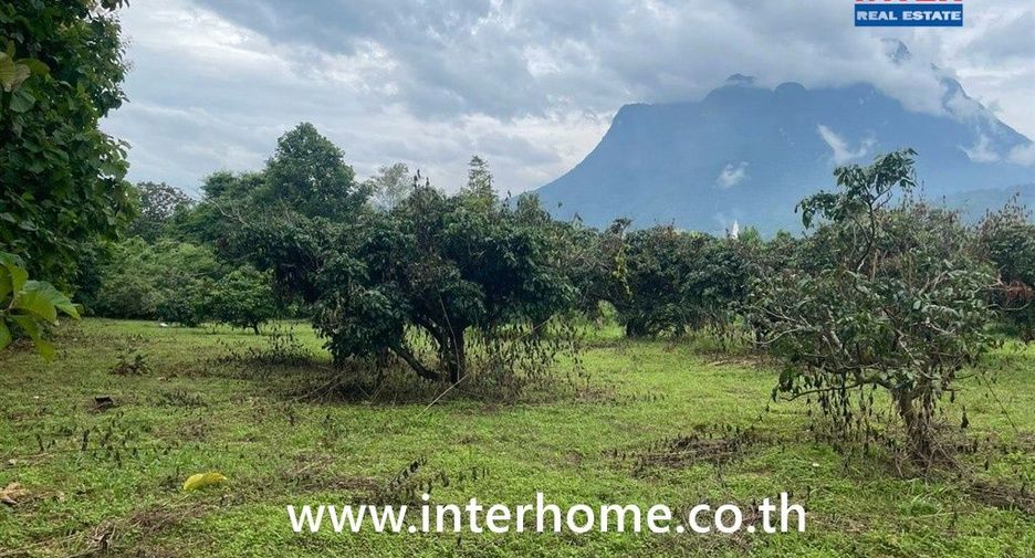 For sale land in Chiang Dao, Chiang Mai