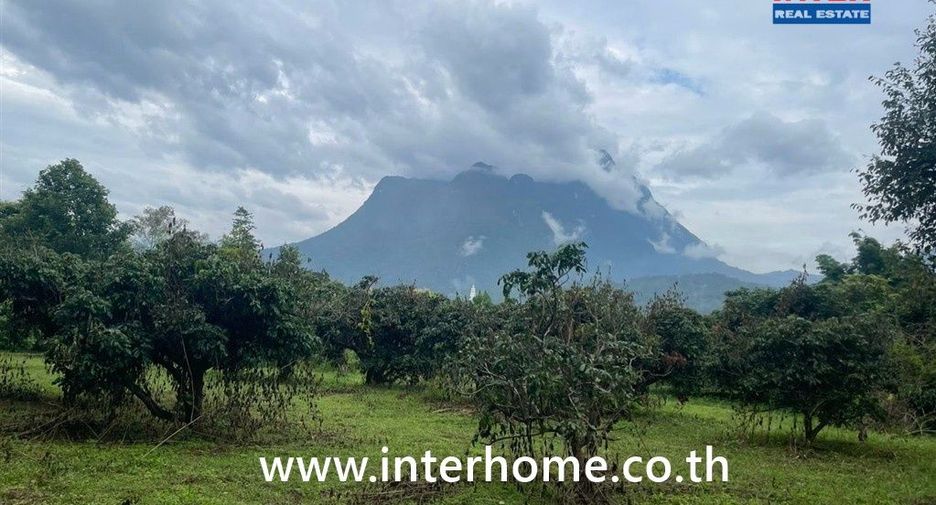 For sale land in Chiang Dao, Chiang Mai
