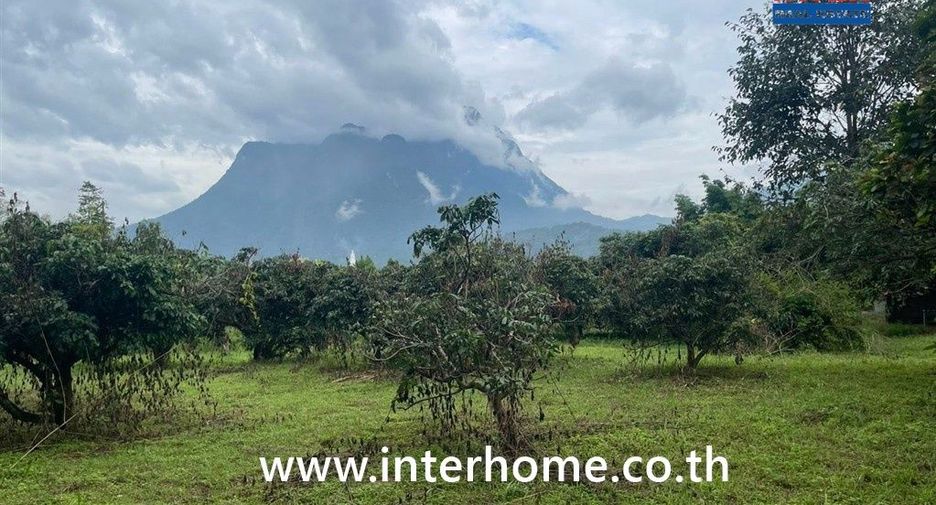 For sale land in Chiang Dao, Chiang Mai