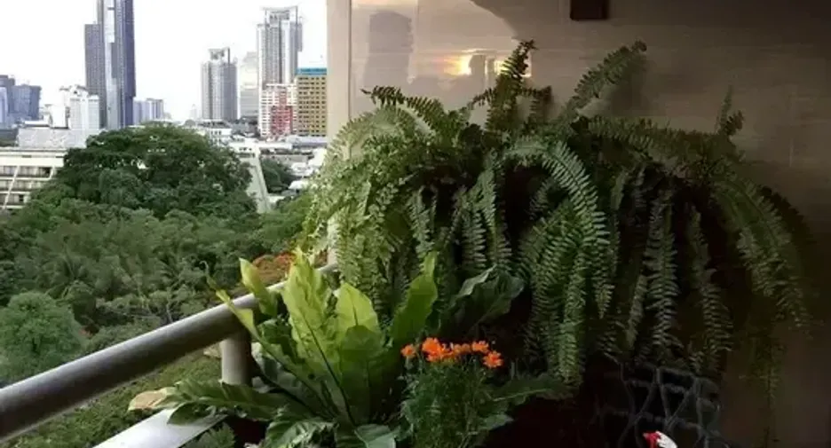 For sale 1 bed condo in Pathum Wan, Bangkok