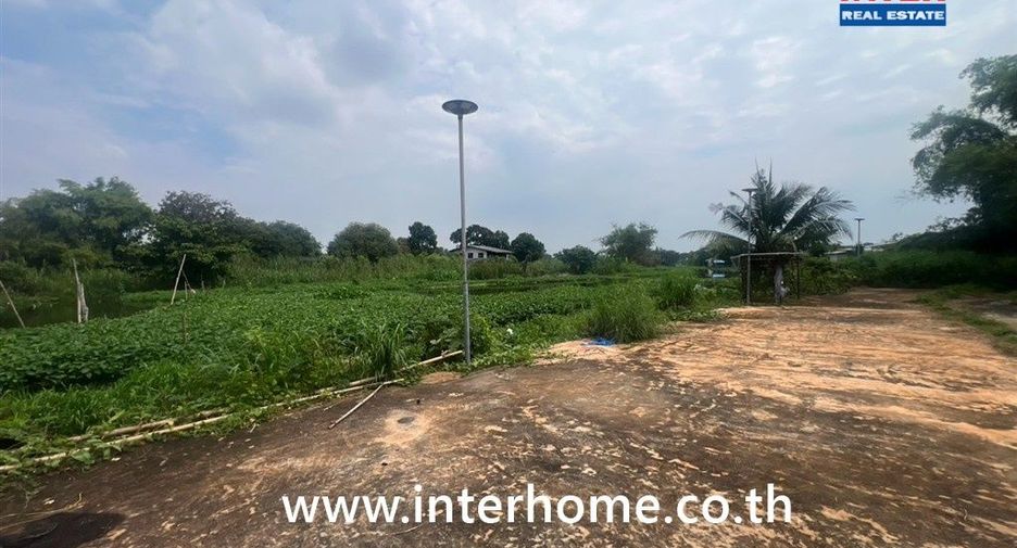 ขาย ที่ดิน ใน สามโคก, ปทุมธานี