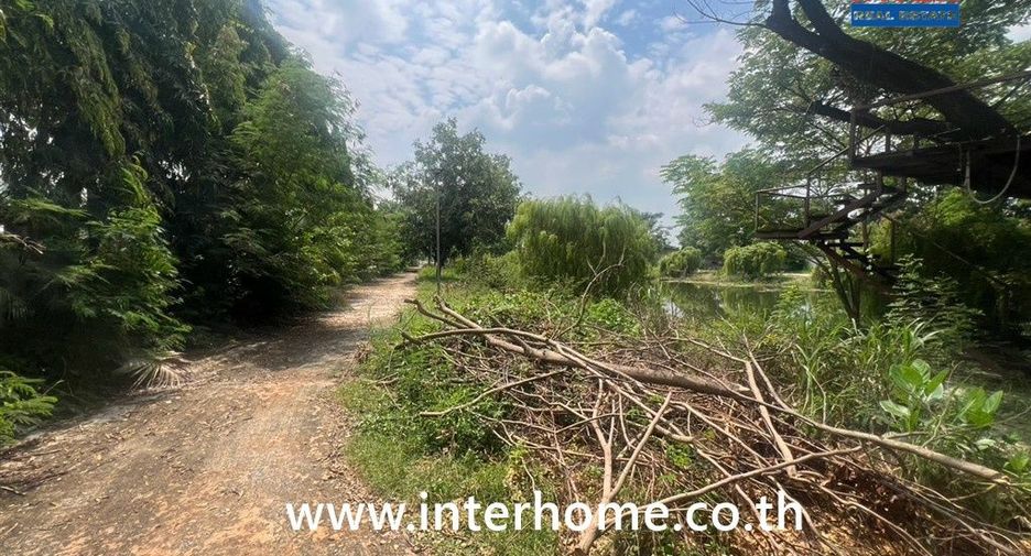 ขาย ที่ดิน ใน สามโคก, ปทุมธานี