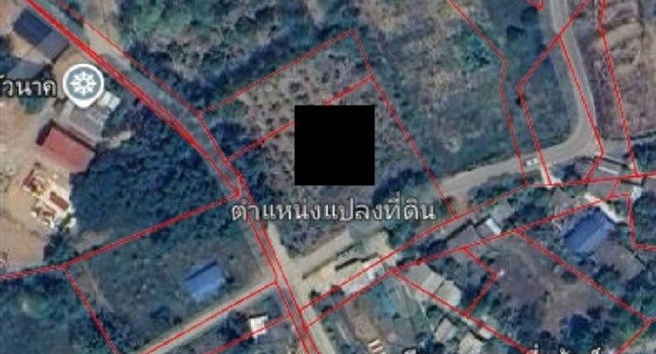 For sale land in Chiang Dao, Chiang Mai